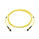 Fibres Singlemode MTP/MPO Trunk Cables